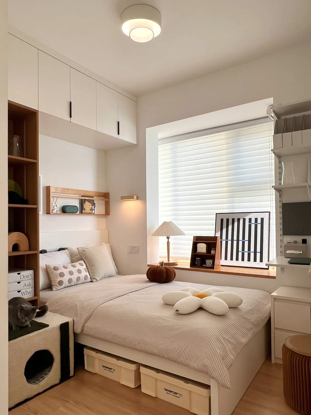 小戶型必看：榻榻米把 “睡、學、囤” 揉進 10㎡里